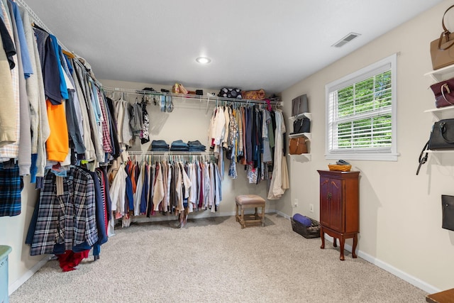 15027 King Rd, Howard, OH 43028 - walk in closet featuring carpet flooring