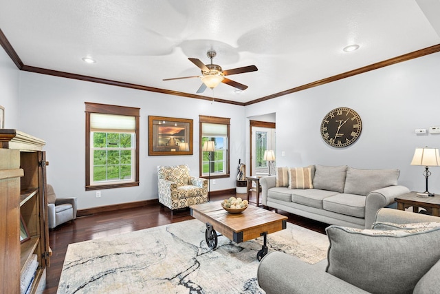 15027 King Rd, Howard, OH 43028 - living room featuring plenty of natural light, a ceiling fan, baseboards, dark wood-style flooring, and ornamental molding