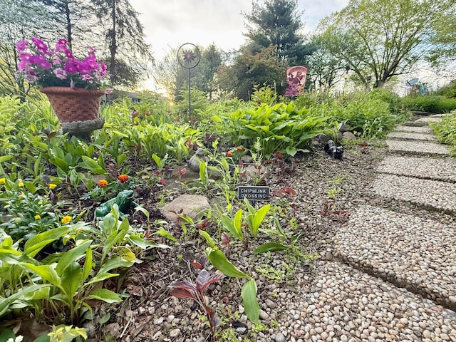 15626 Pleasant View Dr, Mount Vernon, OH 43050 - view of yard