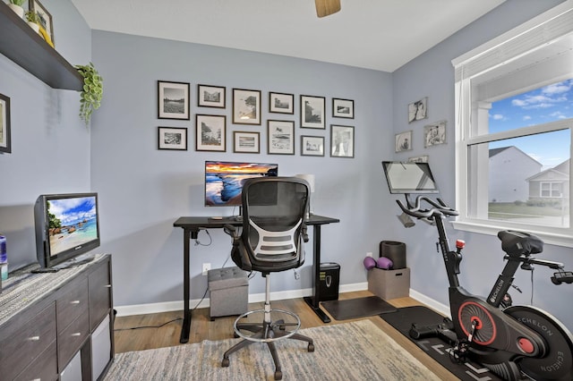 233 Dowler Dr, South Bloomfield, OH 43103 - exercise area featuring wood finished floors and baseboards