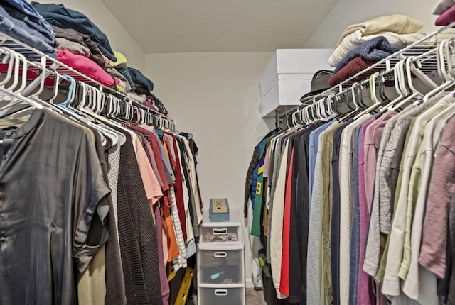 233 Dowler Dr, South Bloomfield, OH 43103 - view of spacious closet