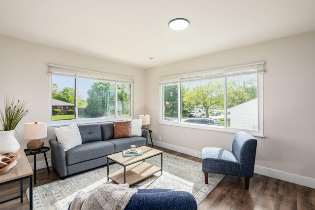 4795 Hafey Ave, Columbus, OH 43228 - living room featuring baseboards, healthy amount of natural light, and wood finished floors
