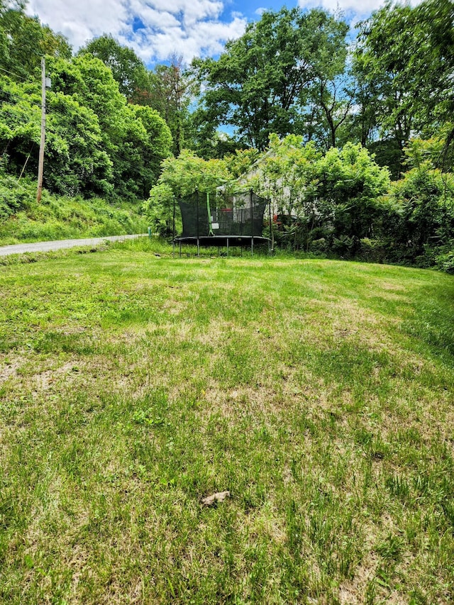 750 S 9th St, Cambridge, OH 43725 - view of green lawn featuring a trampoline
