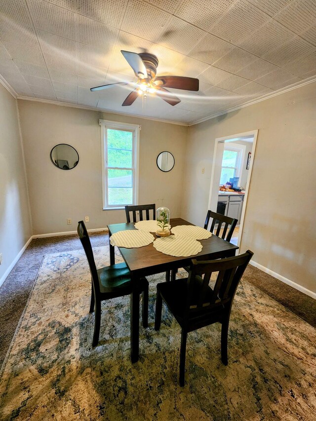 750 S 9th St, Cambridge, OH 43725 - dining area featuring ornamental molding, carpet floors, baseboards, and ceiling fan