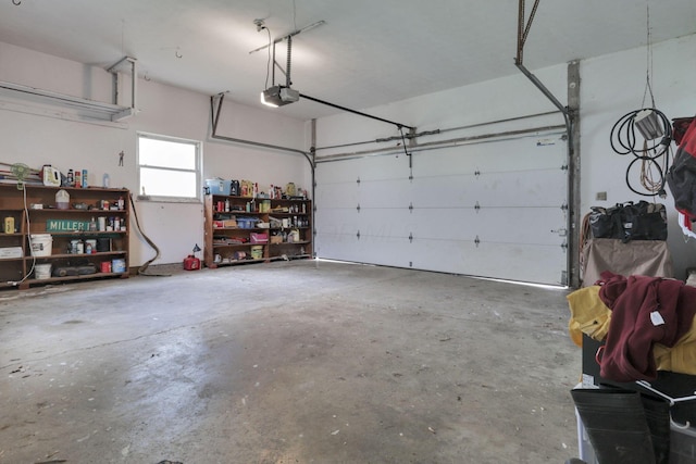 2320 Miller Paul Rd, Galena, OH 43021 - garage featuring a garage door opener
