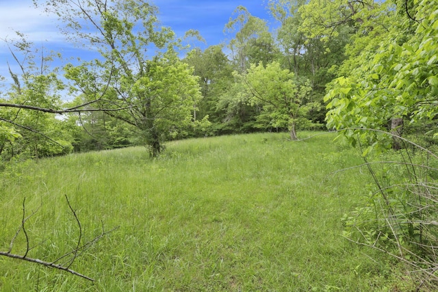 7485 Sugar Grove Rd SE, Sugar Grove, OH 43155 - view of yard