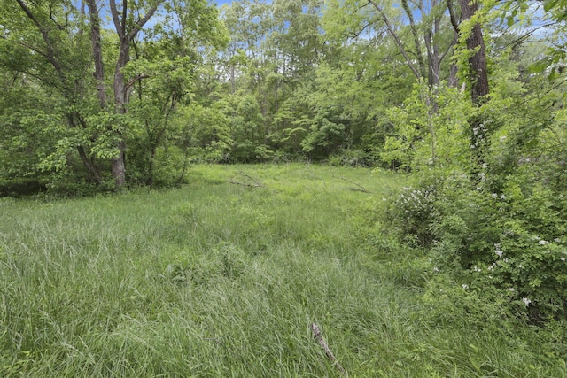 7485 Sugar Grove Rd SE, Sugar Grove, OH 43155 - view of yard with a forest view