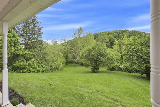 7485 Sugar Grove Rd SE, Sugar Grove, OH 43155 - view of green lawn with a forest view