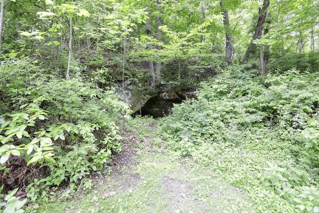 7485 Sugar Grove Rd SE, Sugar Grove, OH 43155 - view of woods