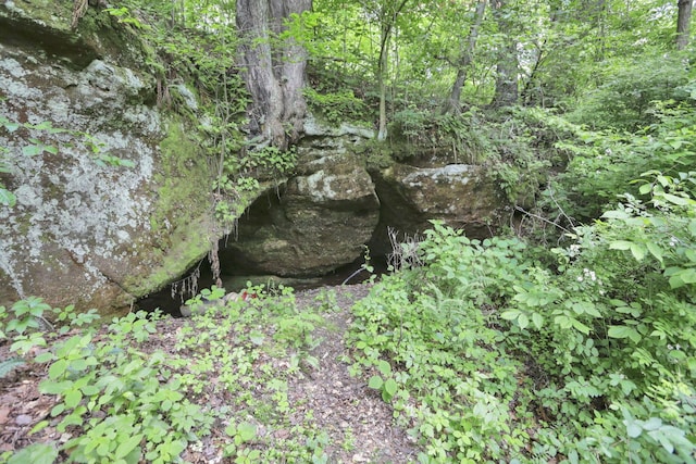 7485 Sugar Grove Rd SE, Sugar Grove, OH 43155 - view of undeveloped land
