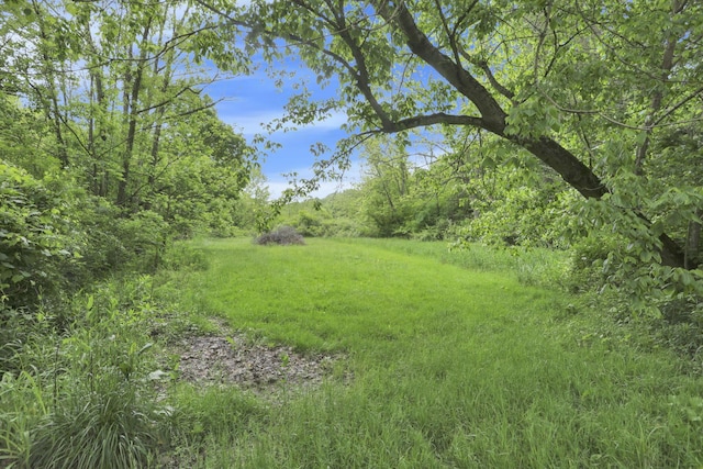 7485 Sugar Grove Rd SE, Sugar Grove, OH 43155 - view of yard with a forest view