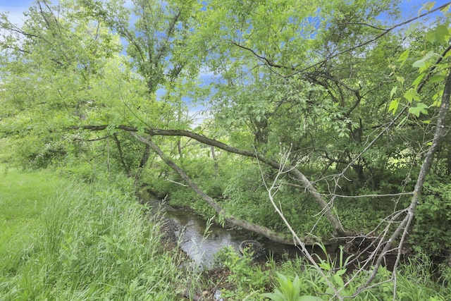 7485 Sugar Grove Rd SE, Sugar Grove, OH 43155 - view of undeveloped land