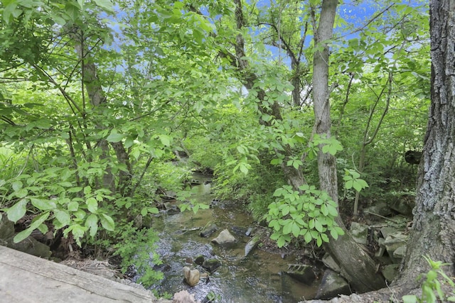 7485 Sugar Grove Rd SE, Sugar Grove, OH 43155 - view of local wilderness