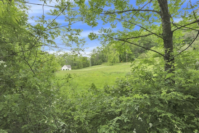 7485 Sugar Grove Rd SE, Sugar Grove, OH 43155 - view of yard with a view of trees