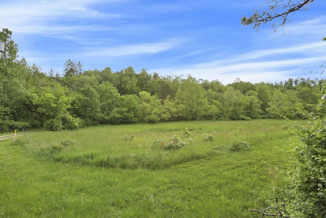 7485 Sugar Grove Rd SE, Sugar Grove, OH 43155 - view of wooded area