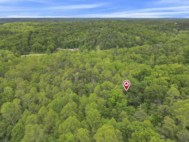 7485 Sugar Grove Rd SE, Sugar Grove, OH 43155 - bird's eye view of a forest