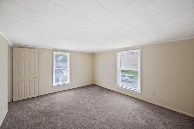 482 E Farming St, Marion, OH 43302 - spare room featuring carpet floors, baseboards, and ornamental molding
