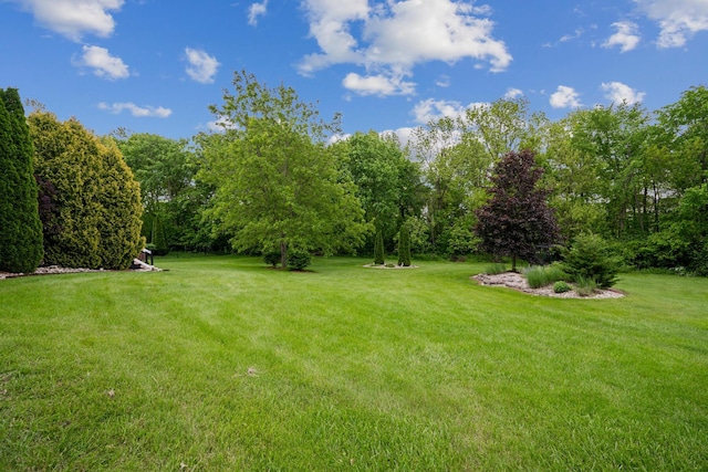 161 Calumet Ct, Ostrander, OH 43061 - view of green lawn