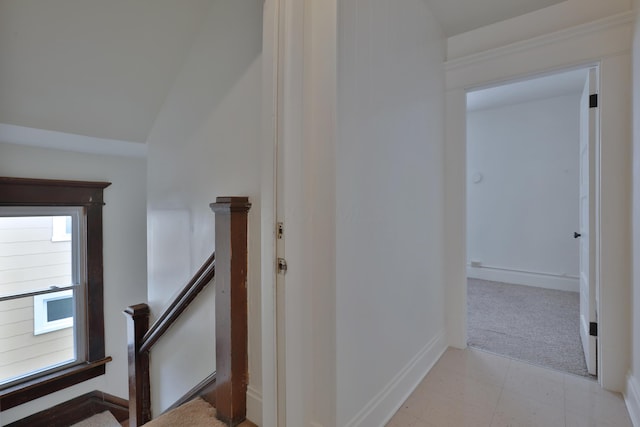 2045 N 4th St, Columbus, OH 43201 - stairs with baseboards, carpet floors, and tile patterned floors