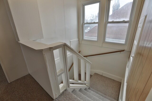 2045 N 4th St, Columbus, OH 43201 - stairs featuring carpet flooring