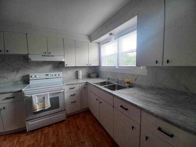4891 Marion Mount Gilead Rd, Caledonia, OH 43314 - kitchen with white range with electric cooktop, under cabinet range hood, a sink, light countertops, and dark wood finished floors