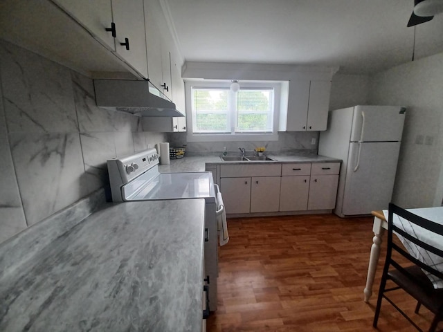 4891 Marion Mount Gilead Rd, Caledonia, OH 43314 - kitchen with freestanding refrigerator, range, a sink, under cabinet range hood, and wood finished floors