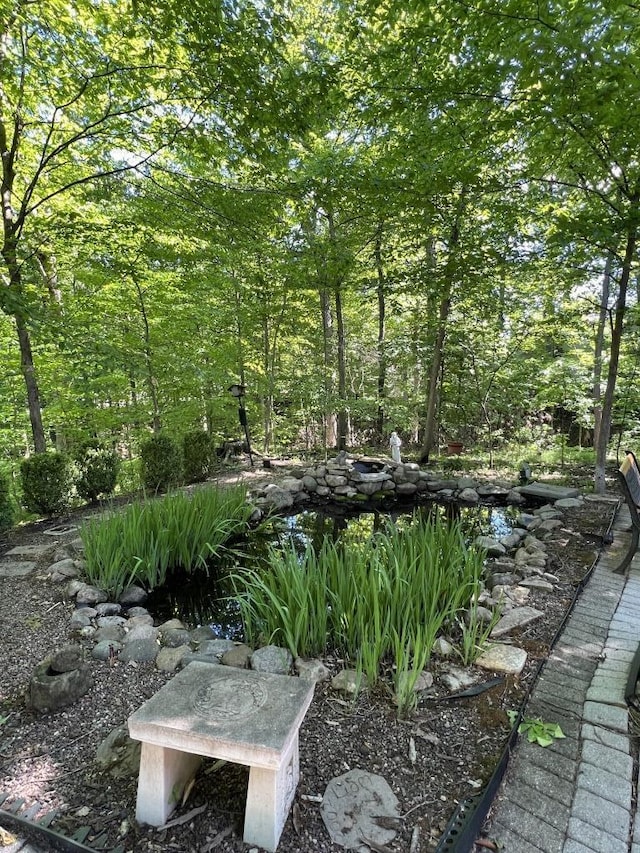 5645 Travis Pointe Ct, Westerville, OH 43082 - view of yard with a forest view