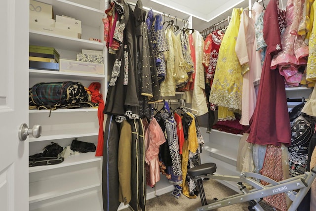 7142 Duke Dr, Canal Winchester, OH 43110 - view of walk in closet
