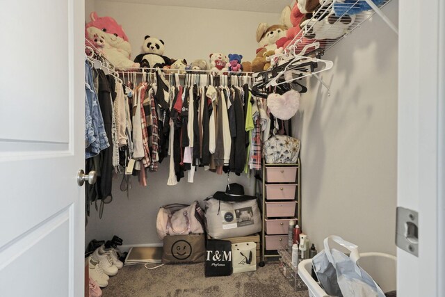 7142 Duke Dr, Canal Winchester, OH 43110 - walk in closet with carpet flooring