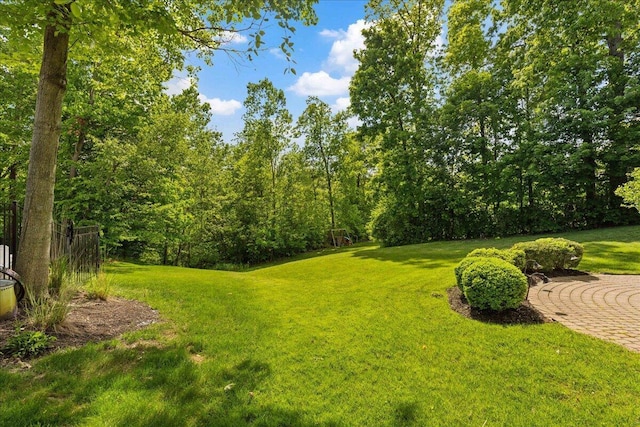 3144 Abbey Knoll Dr, Lewis Center, OH 43035 - view of grassy yard