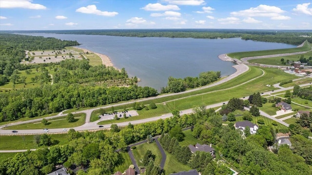 3144 Abbey Knoll Dr, Lewis Center, OH 43035 - aerial view of a large body of water and a forest