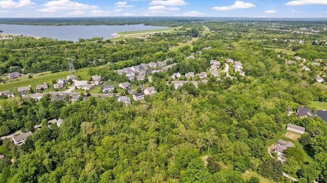 3144 Abbey Knoll Dr, Lewis Center, OH 43035 - aerial view of residential area with a forest and a large body of water