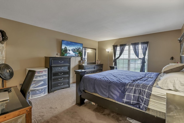 6792 Makady Rd, Canal Winchester, OH 43110 - bedroom featuring carpet flooring