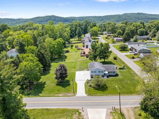 523 Belleview Ave, Chillicothe, OH 45601 - photo 43