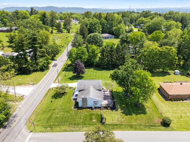 523 Belleview Ave, Chillicothe, OH 45601 - photo 46