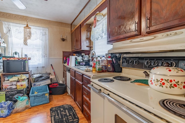 2929 Fairwood Ave, Columbus, OH 43205 - kitchen featuring white electric range, light countertops, plenty of natural light, and a sink