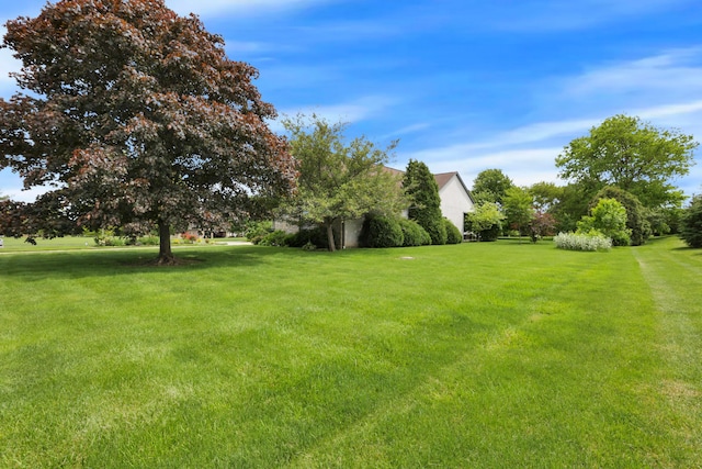 3171 Orders Rd, Grove City, OH 43123 - view of green lawn