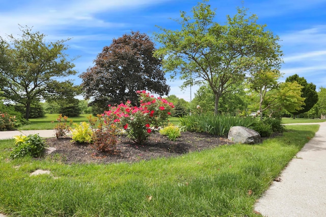 3171 Orders Rd, Grove City, OH 43123 - view of yard