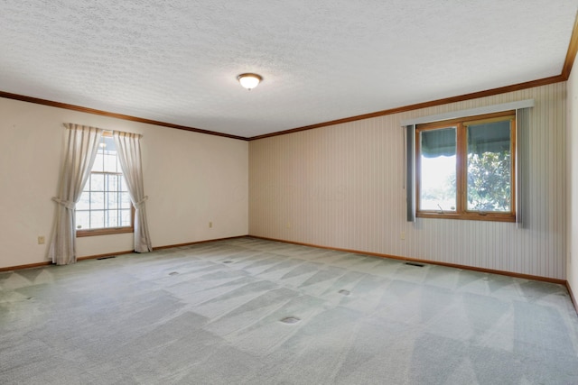 3171 Orders Rd, Grove City, OH 43123 - carpeted spare room with crown molding, baseboards, and a textured ceiling