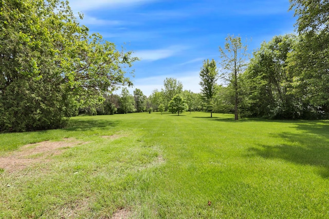 3171 Orders Rd, Grove City, OH 43123 - view of green lawn