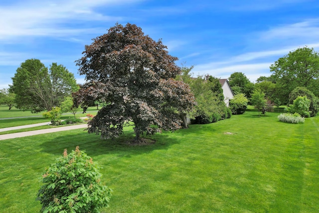 3171 Orders Rd, Grove City, OH 43123 - view of green lawn