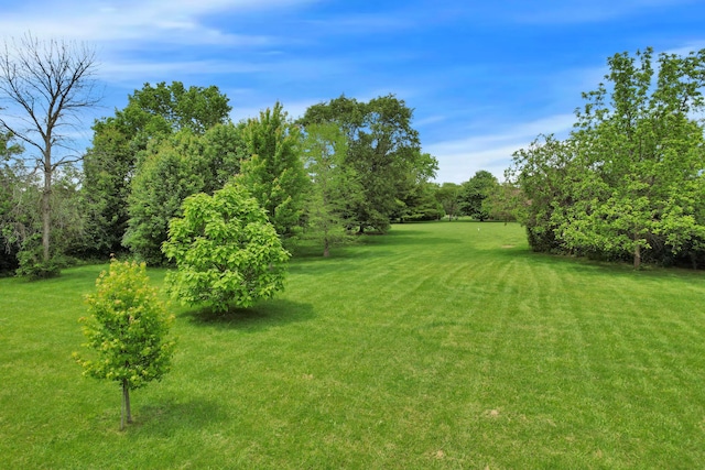3171 Orders Rd, Grove City, OH 43123 - view of green lawn
