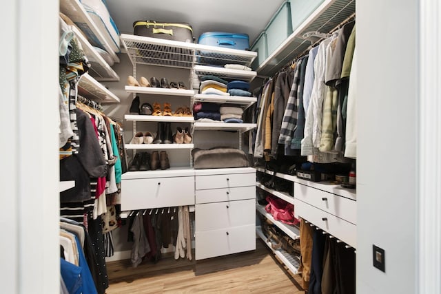 1055 Arcaro Dr, Columbus, OH 43230 - walk in closet with light wood-style floors