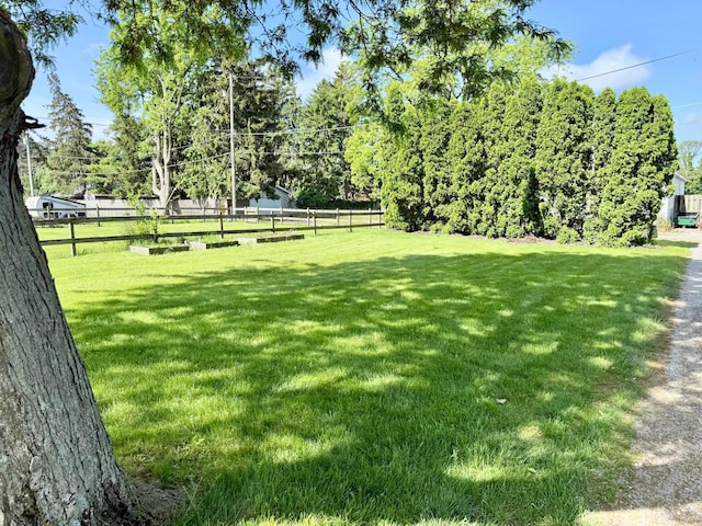 2010 S Main St, Findlay, OH 45840 - view of yard