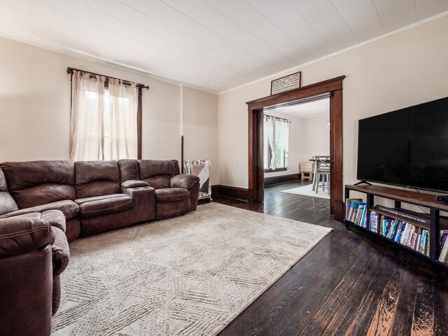 154 Montgomery Blvd, New Concord, OH 43762 - living room with dark wood-type flooring and crown molding