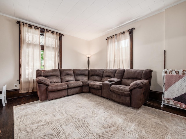 154 Montgomery Blvd, New Concord, OH 43762 - living room featuring healthy amount of natural light, wood finished floors, and crown molding