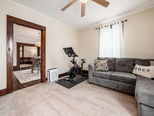 154 Montgomery Blvd, New Concord, OH 43762 - workout area with crown molding, ceiling fan, carpet, and baseboards