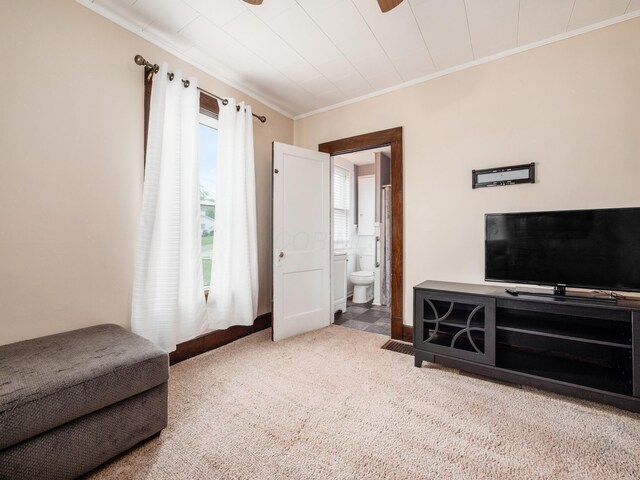 154 Montgomery Blvd, New Concord, OH 43762 - carpeted living room with ornamental molding, a ceiling fan, and baseboards