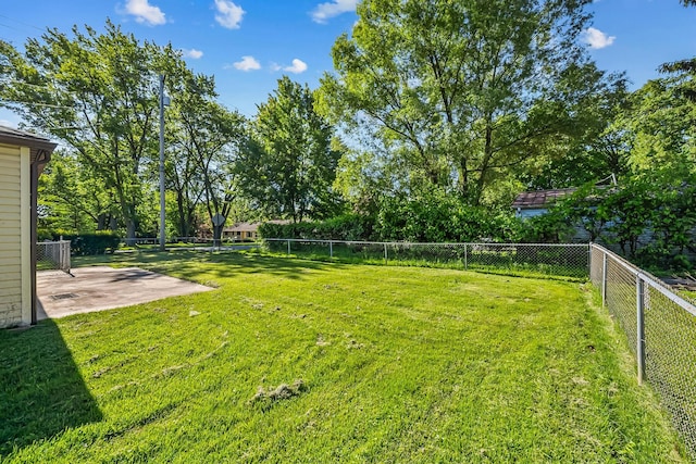 225 W Heffner St, Delaware, OH 43015 - view of yard featuring a patio