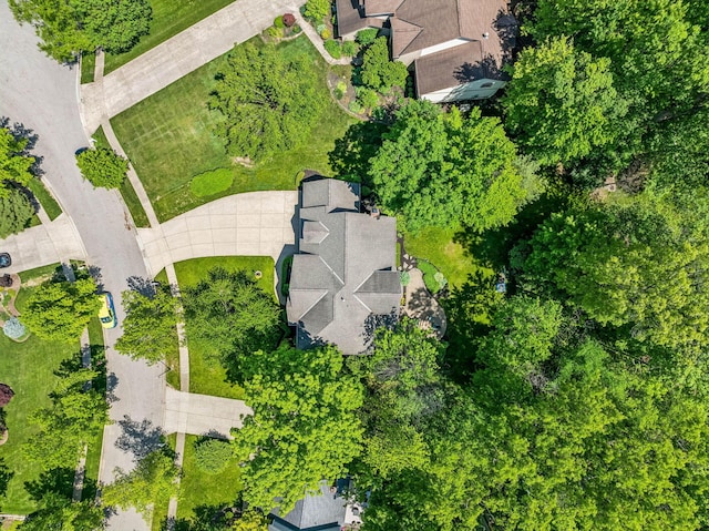 1229 Whispering Meadow Ct, New Albany, OH 43054 - aerial view